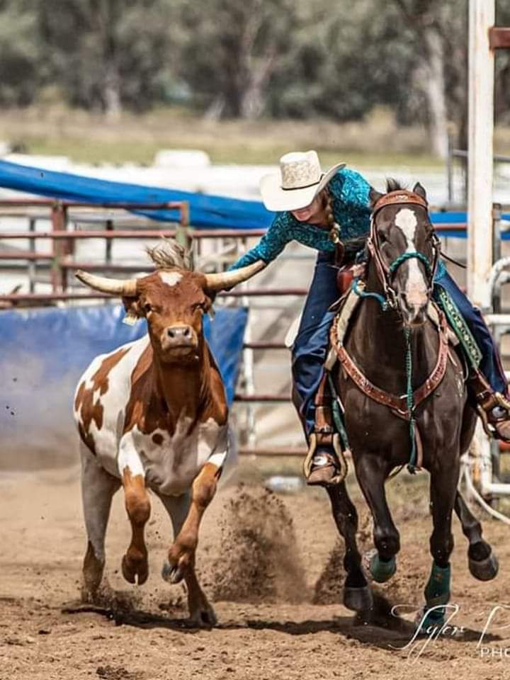 Find the Perfect Fit: The Ultimate Guide to Choosing the Right Felt Saddle Pad Thickness for Your Western Riding Discipline