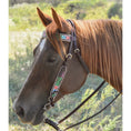 Load image into Gallery viewer, 348 JUNIOR COWHORSE TWISTED DOGBONE
