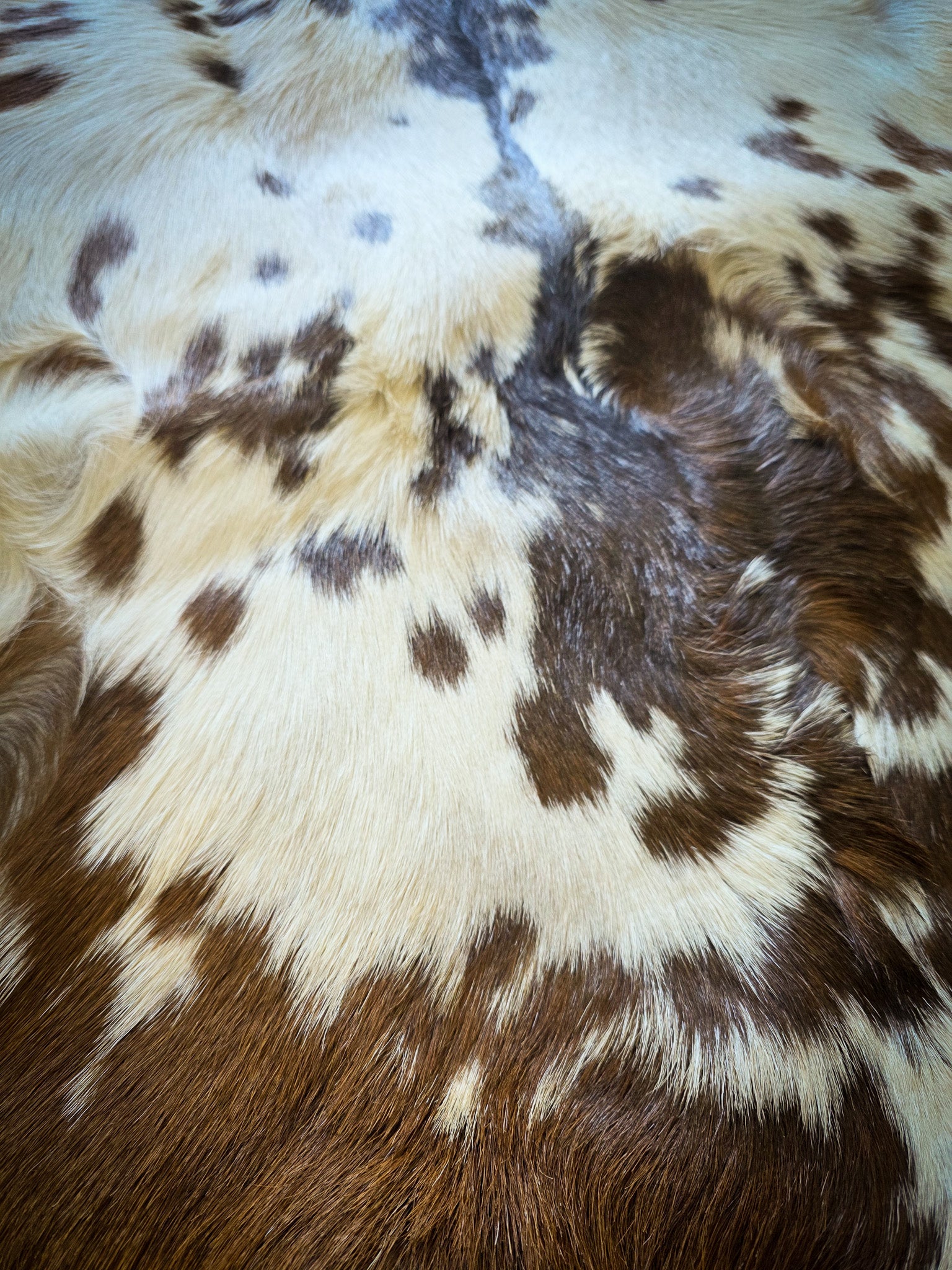 Genuine Natural Goat Hide - #2