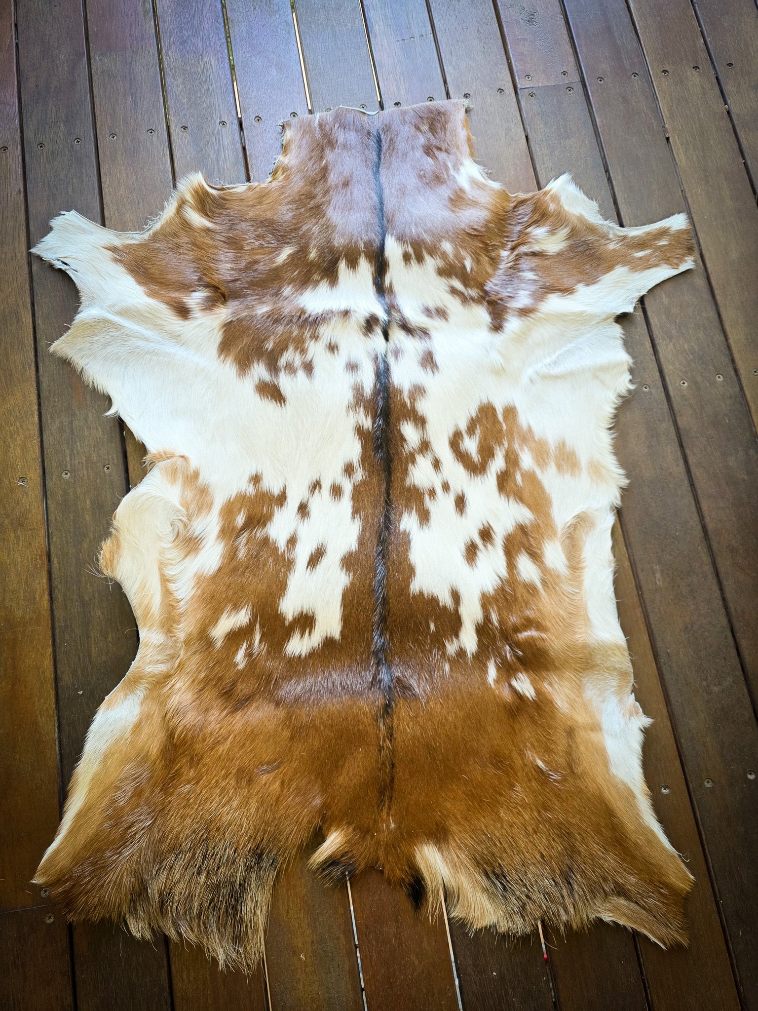 Genuine Natural Goat Hide - #3