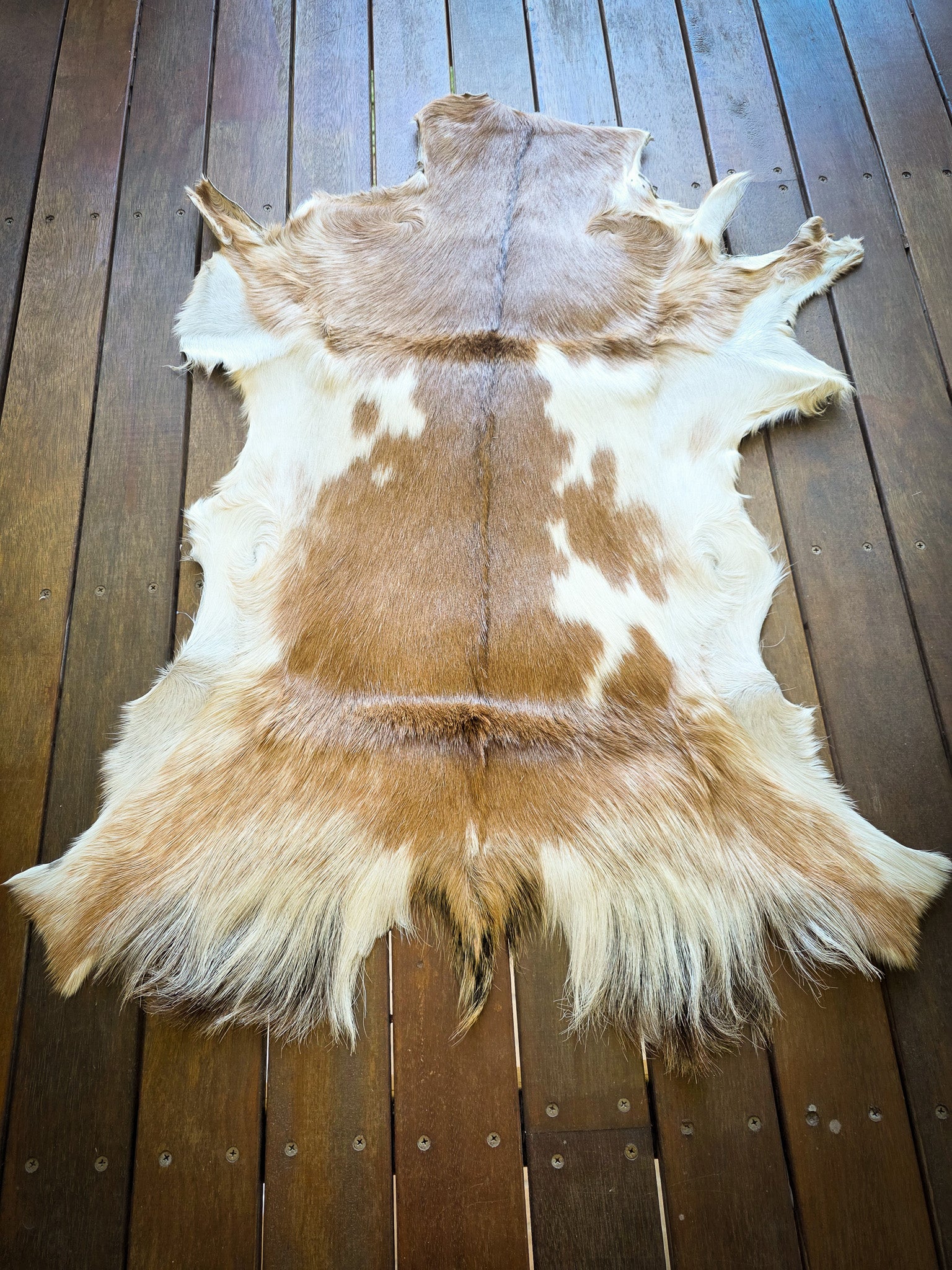 Genuine Natural Goat Hide - #4