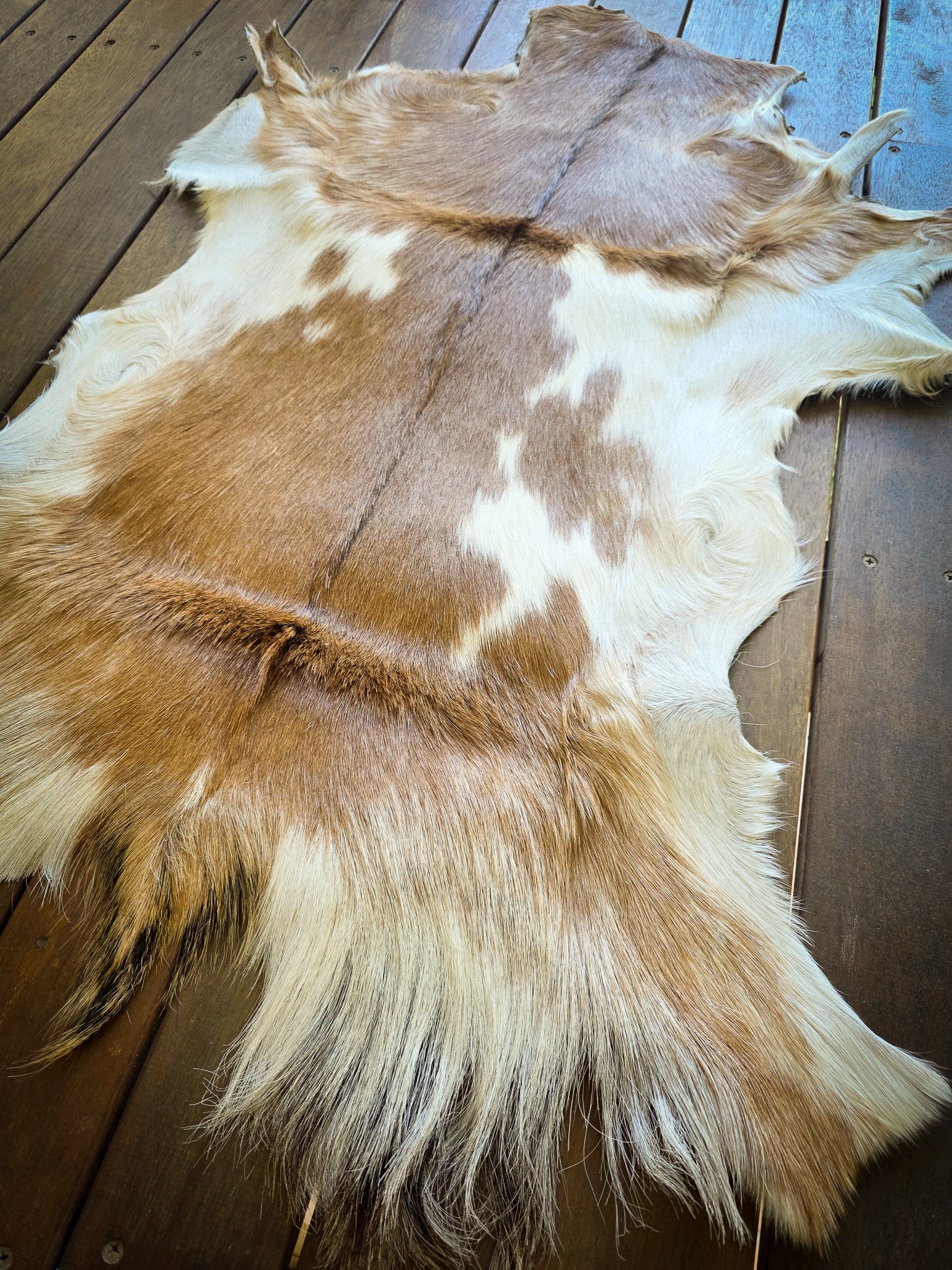 Genuine Natural Goat Hide - #4