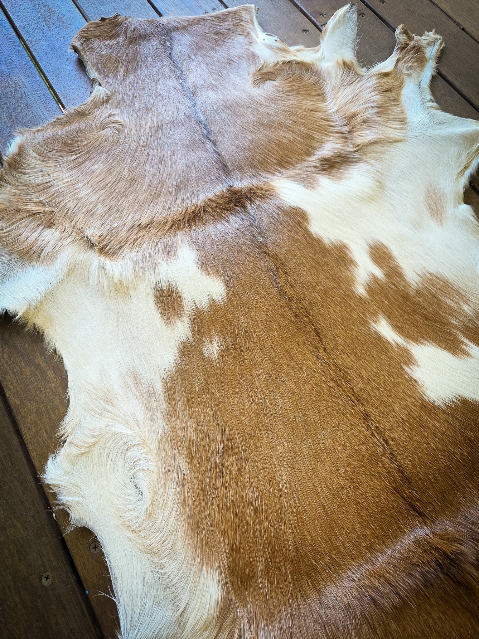 Genuine Natural Goat Hide - #4