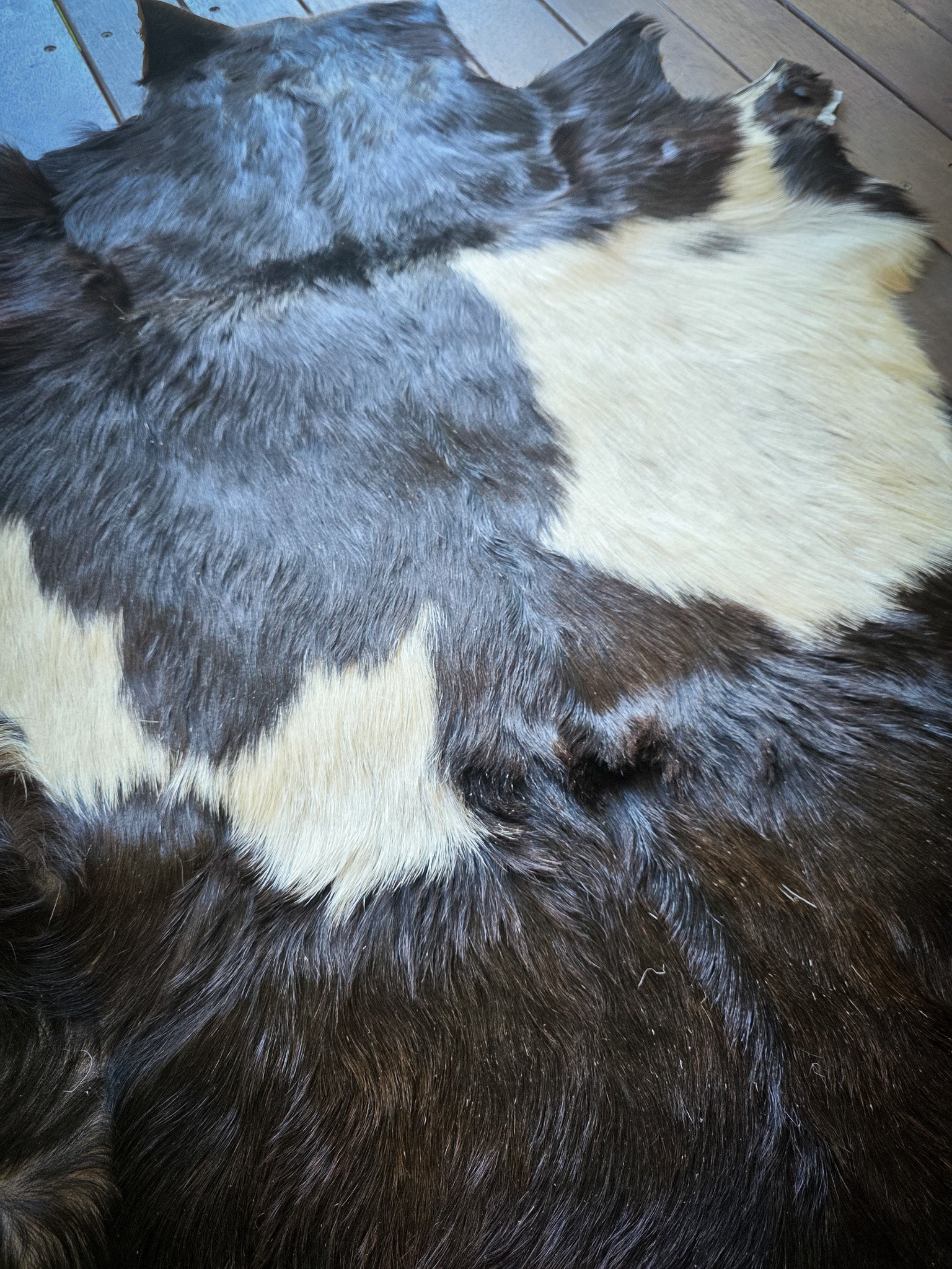 Genuine Natural Goat Hide - #6