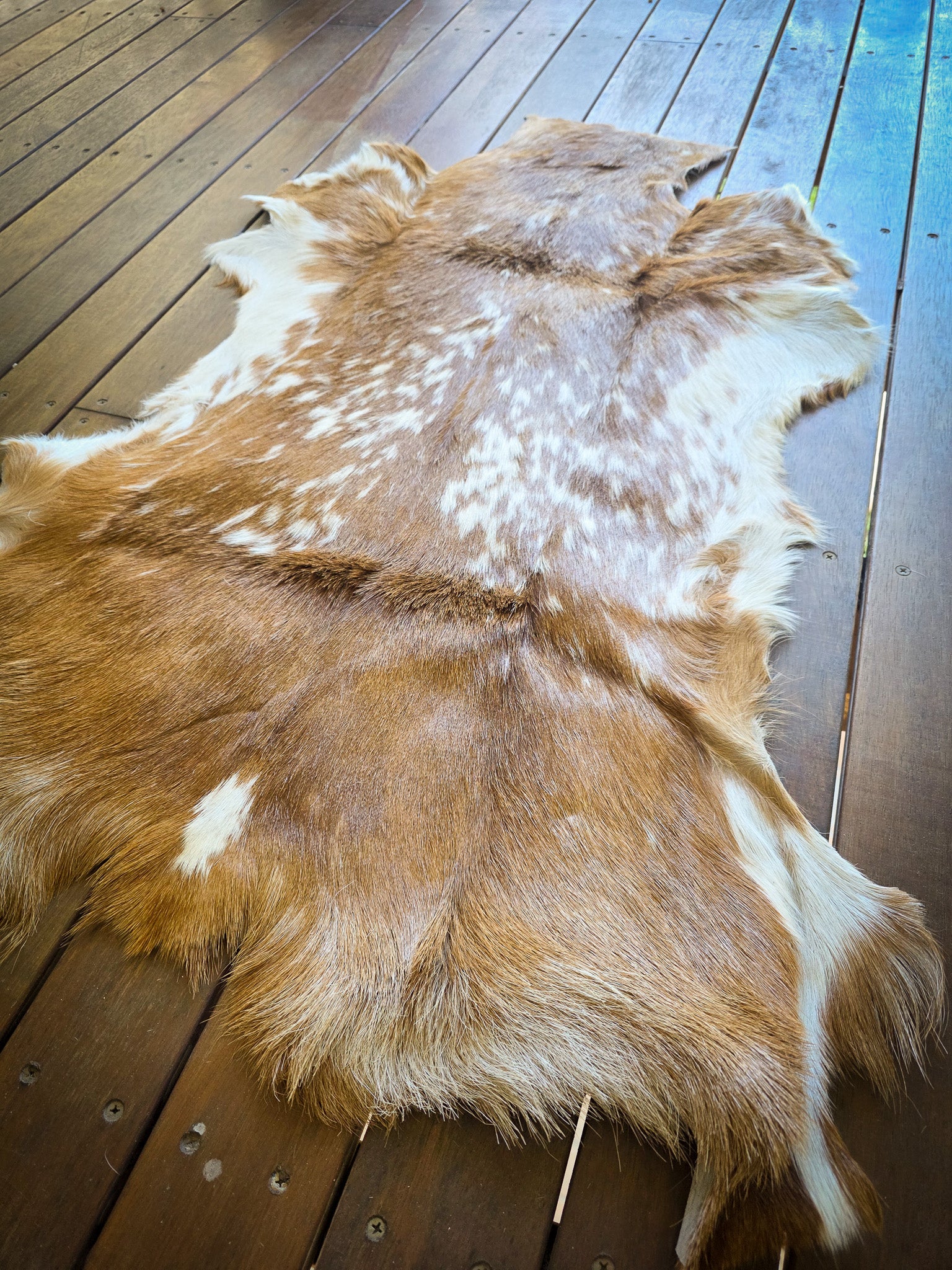 Genuine Natural Goat Hide - #9