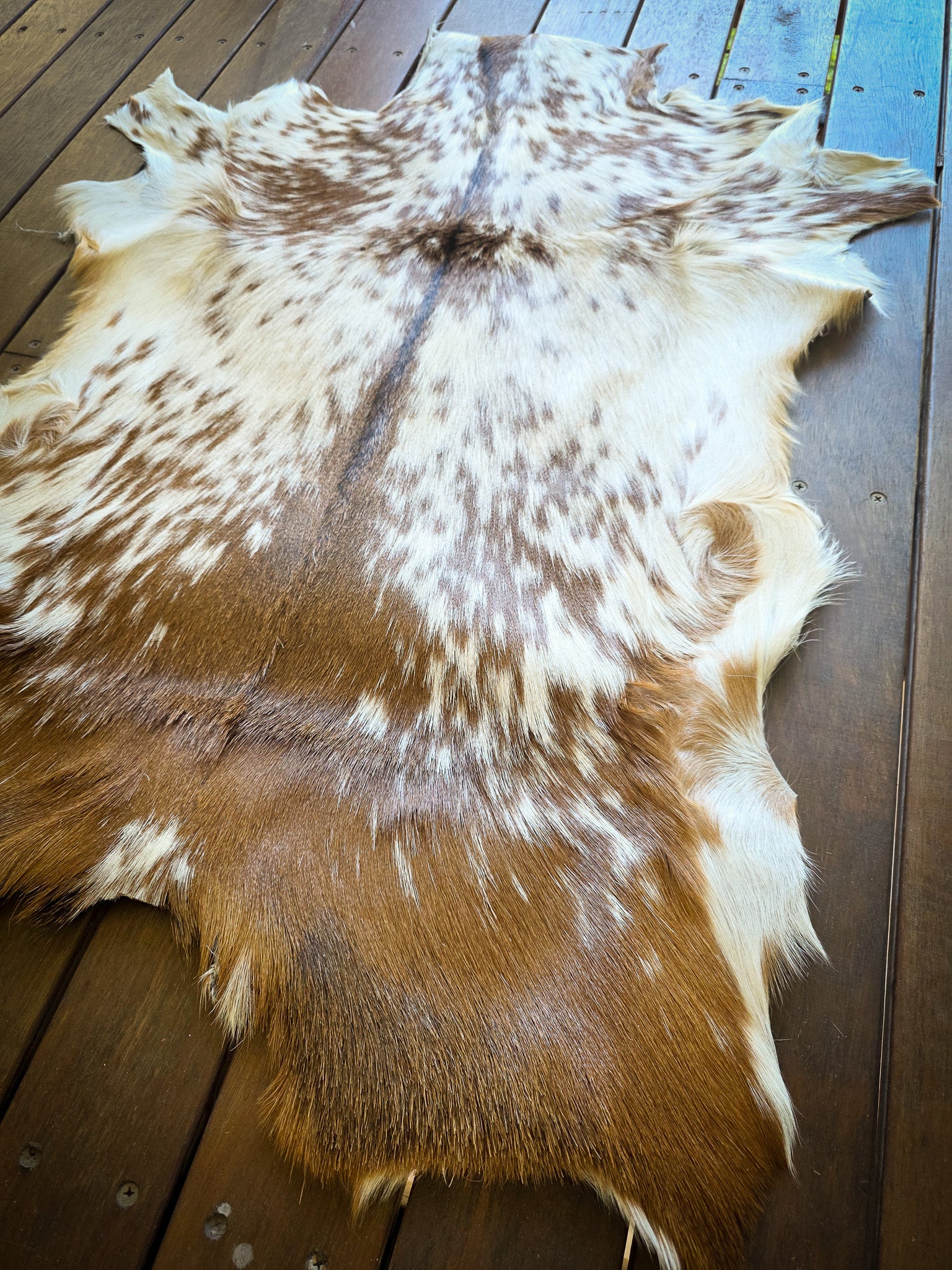 Genuine Natural Goat Hide - #10