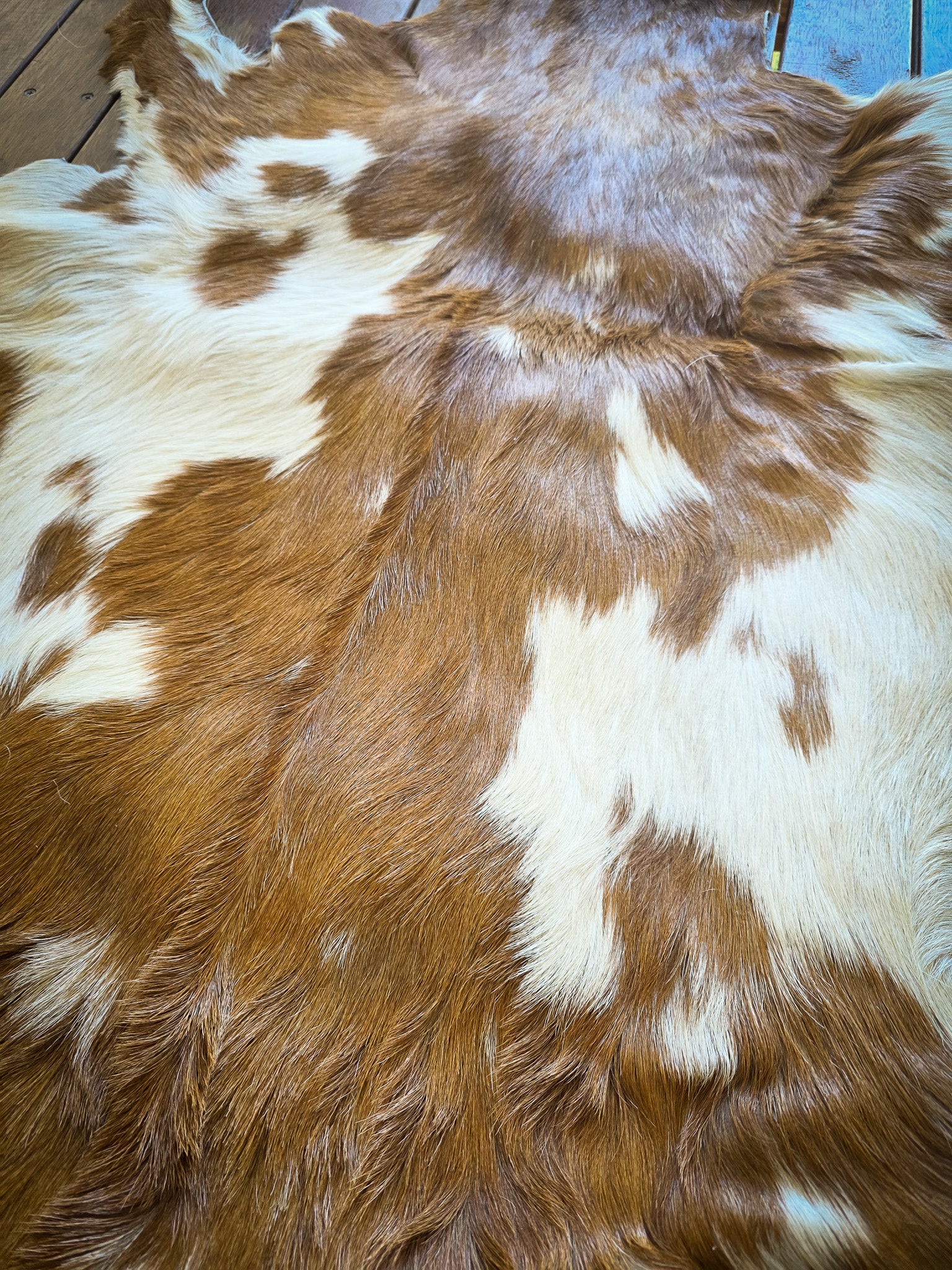 Genuine Natural Goat Hide - #14