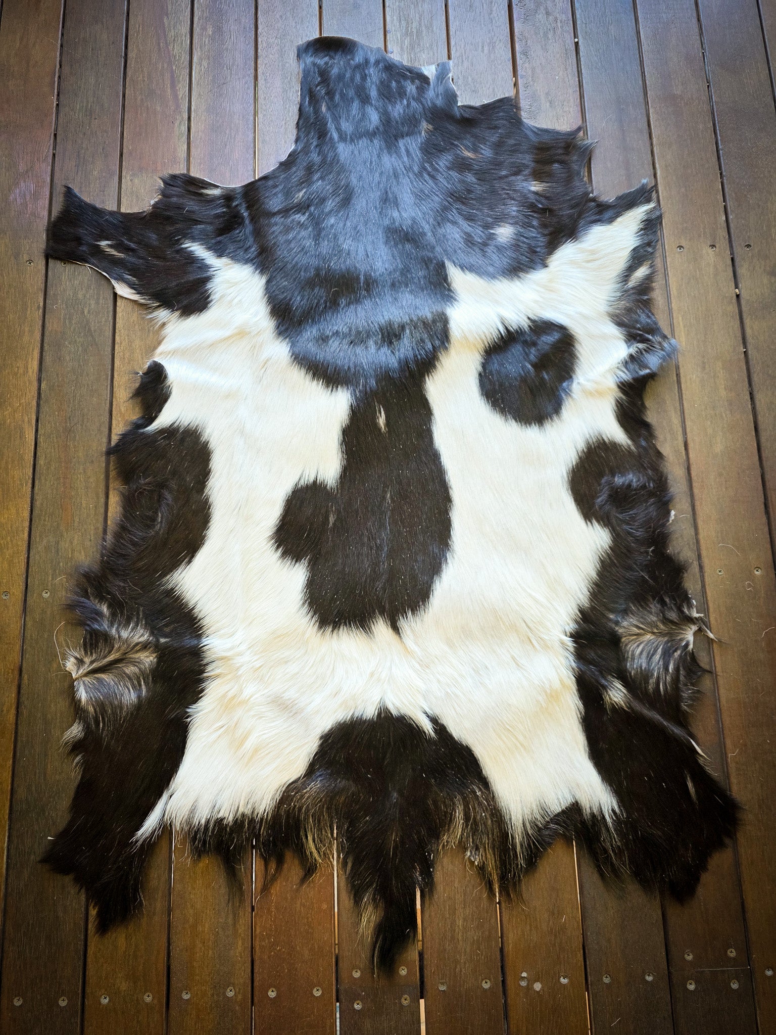 Genuine Natural Goat Hide - #15