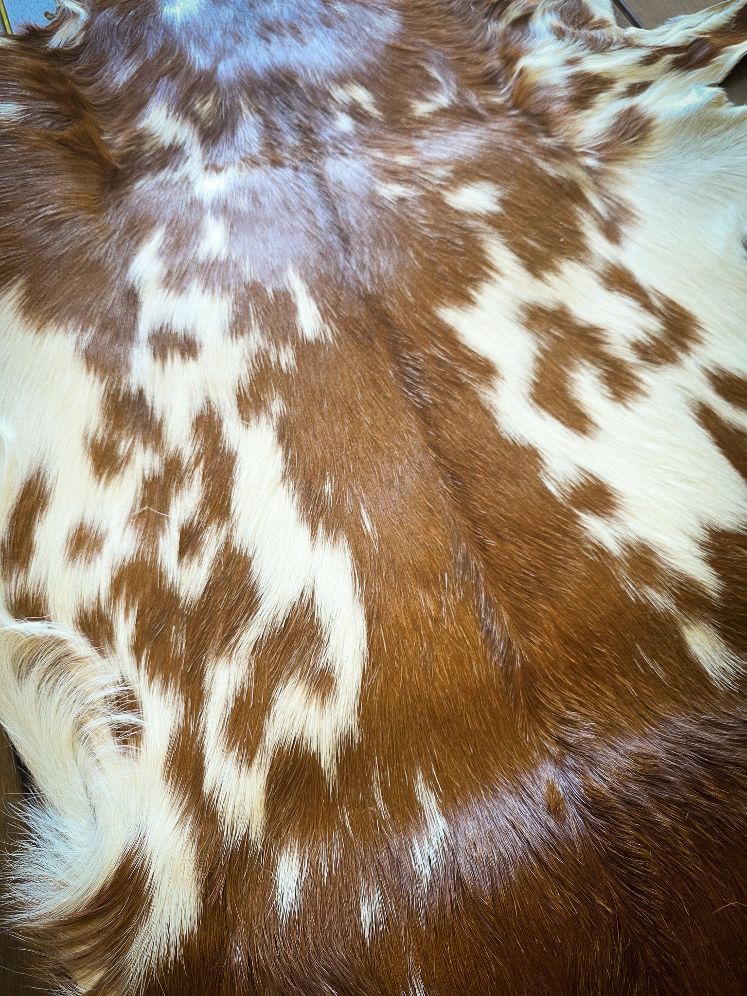 Genuine Natural Goat Hide - #16