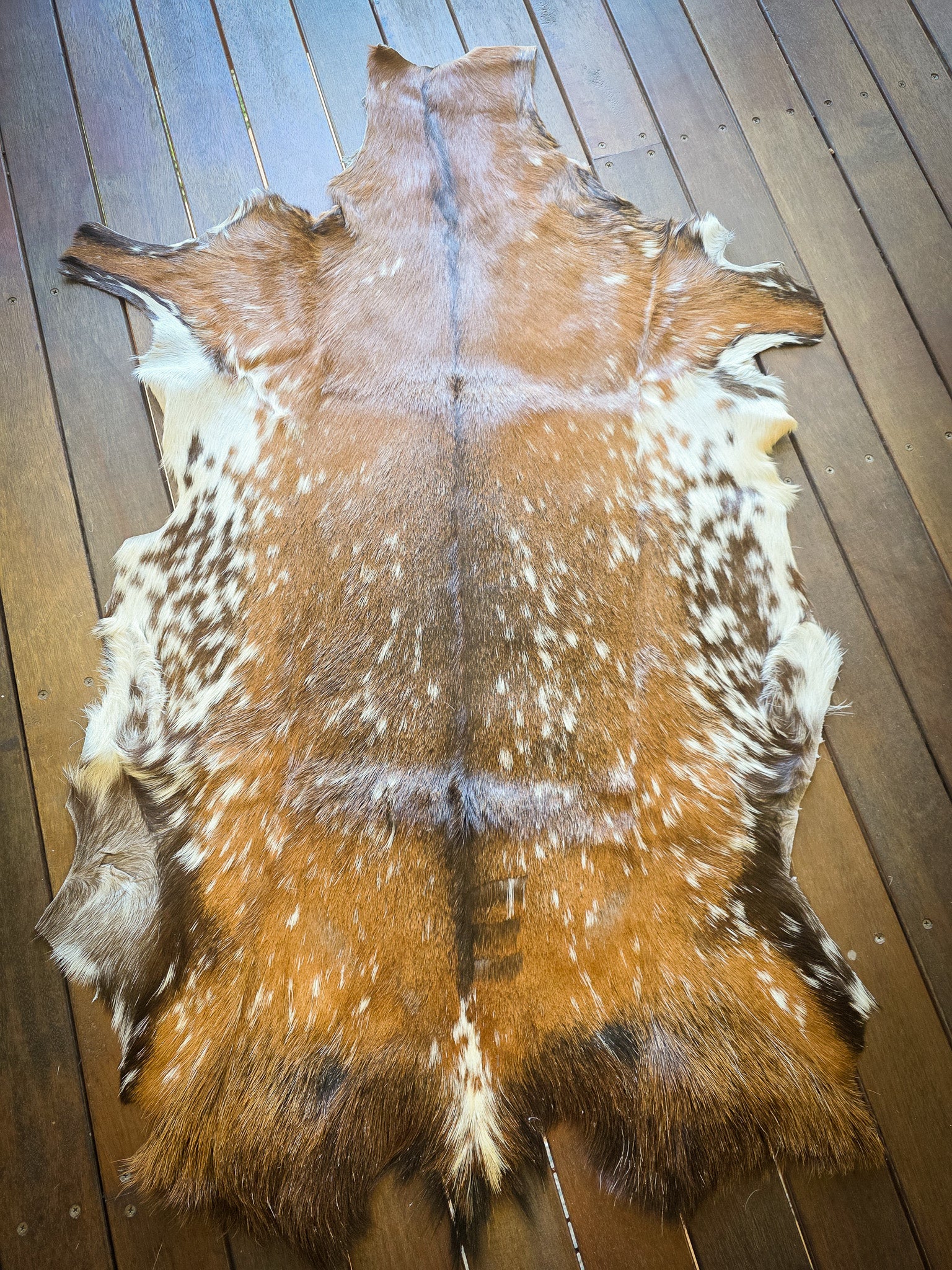 Genuine Natural Goat Hide - #19