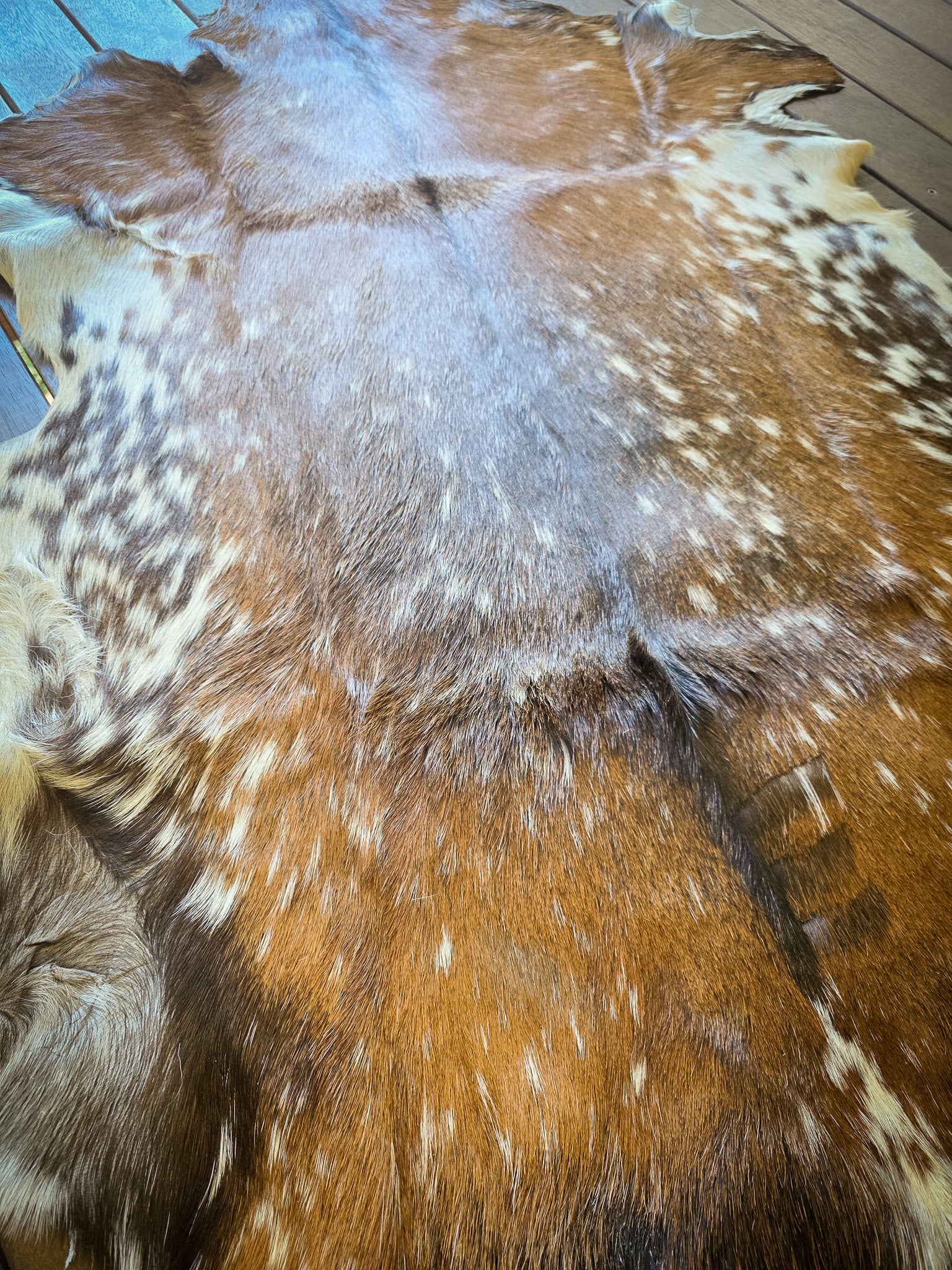 Genuine Natural Goat Hide - #19