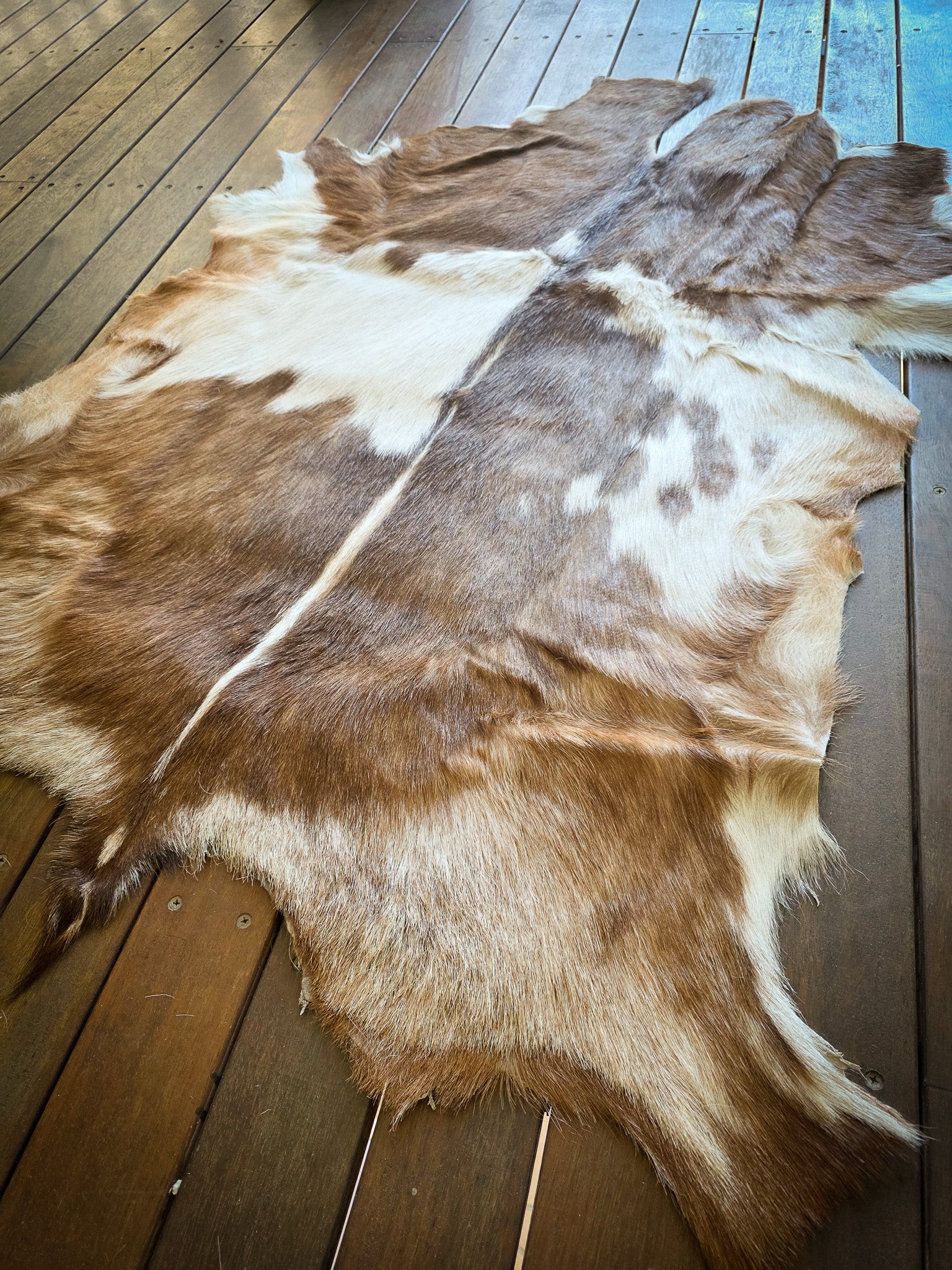 Genuine Natural Goat Hide - #22