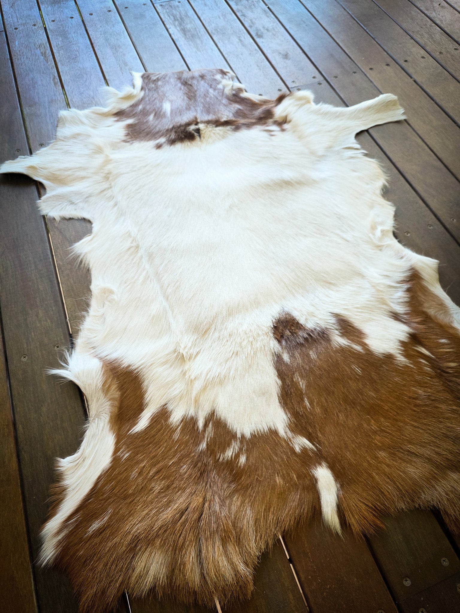 Genuine Natural Goat Hide - #23