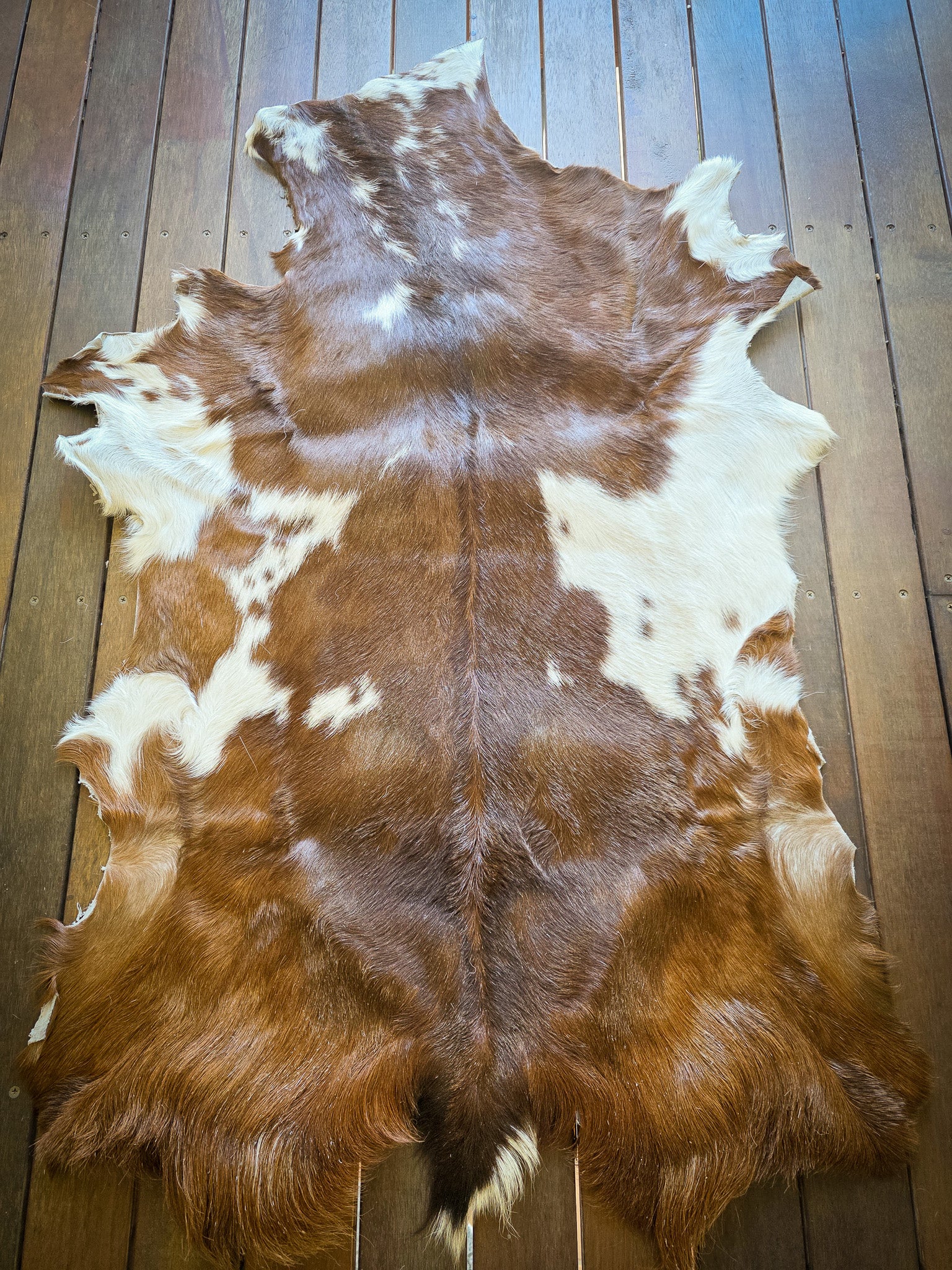 Genuine Natural Goat Hide - #24