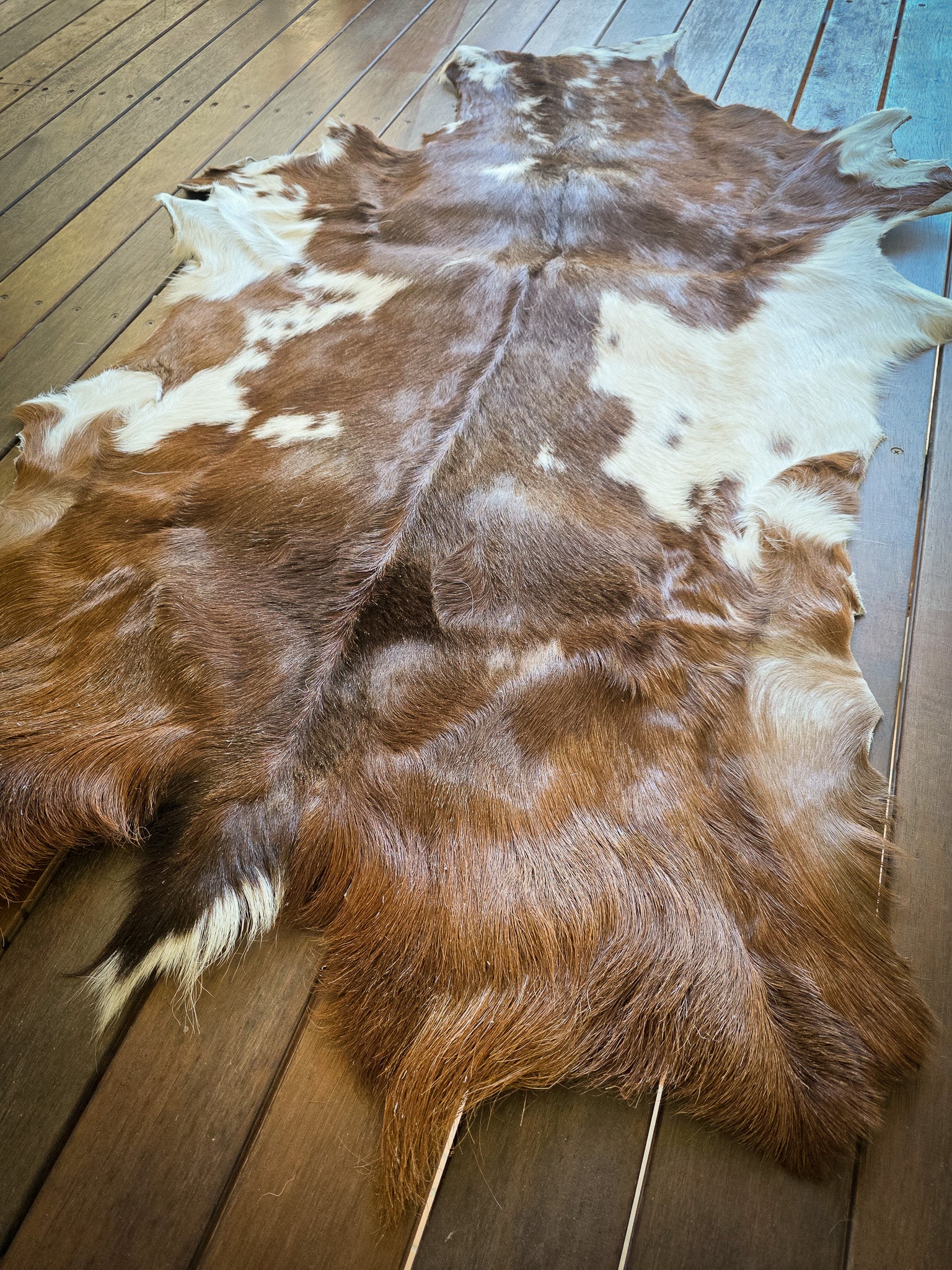 Genuine Natural Goat Hide - #24