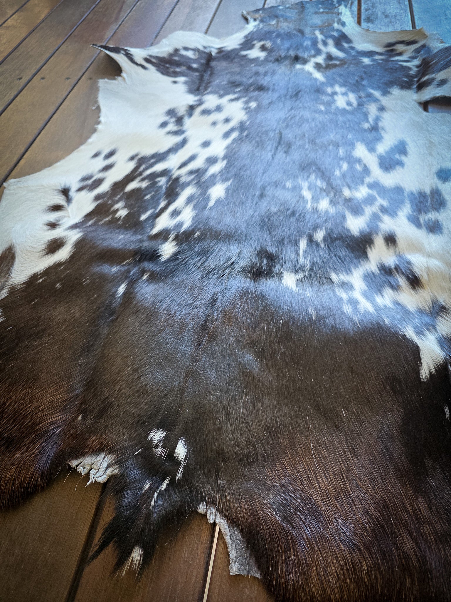 Genuine Natural Goat Hide - #25