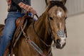 Load image into Gallery viewer, EquiBreathe™ Equine Nasal Patch - Cheetah