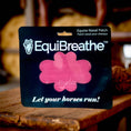 Load image into Gallery viewer, EquiBreathe™ Equine Nasal Patch - Pink
