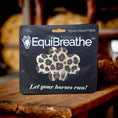 Load image into Gallery viewer, EquiBreathe™ Equine Nasal Patch - Cheetah