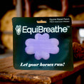 Load image into Gallery viewer, EquiBreathe™ Equine Nasal Patch - Purple