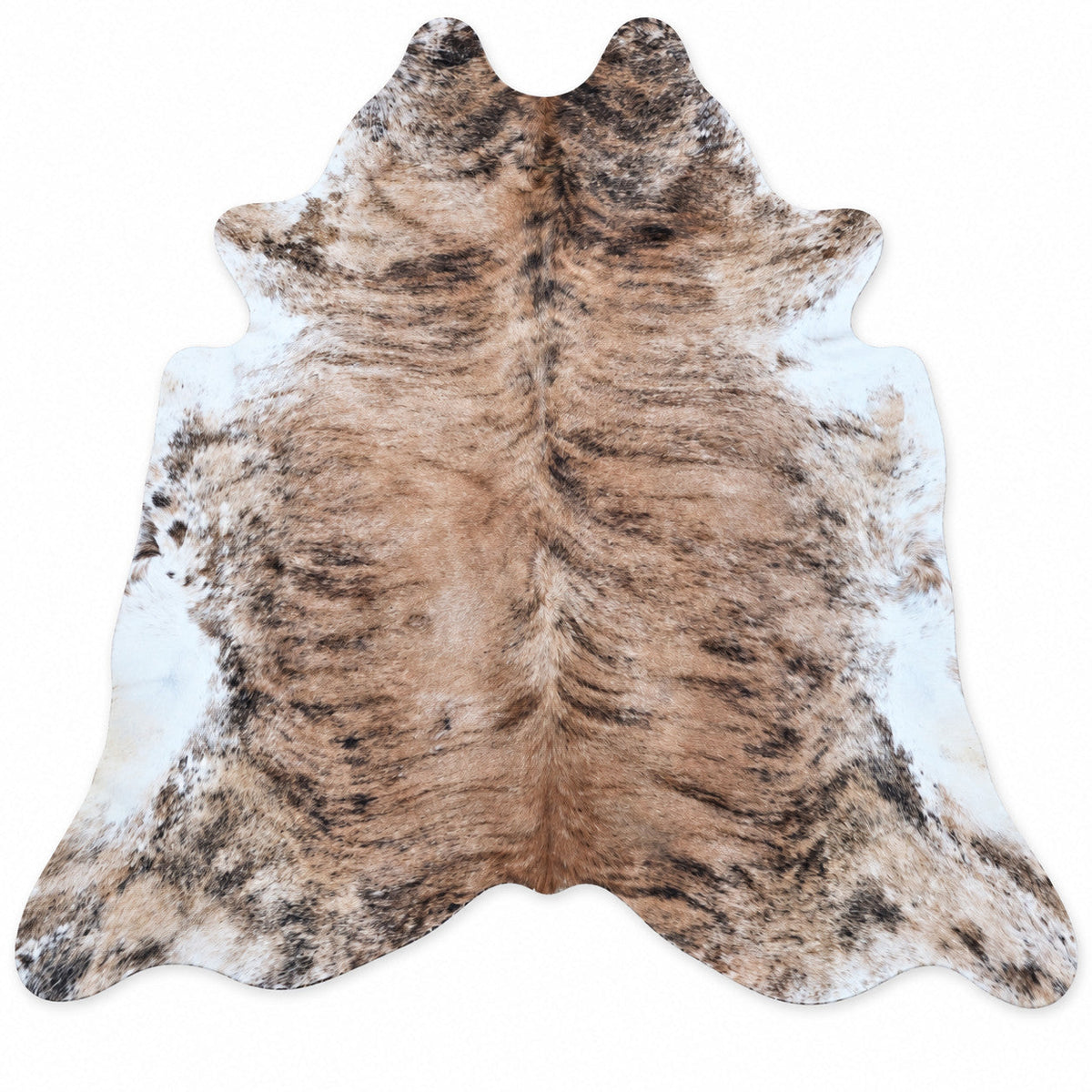Digitally created studio image of BAS-HIDE-003; see original for exact markings