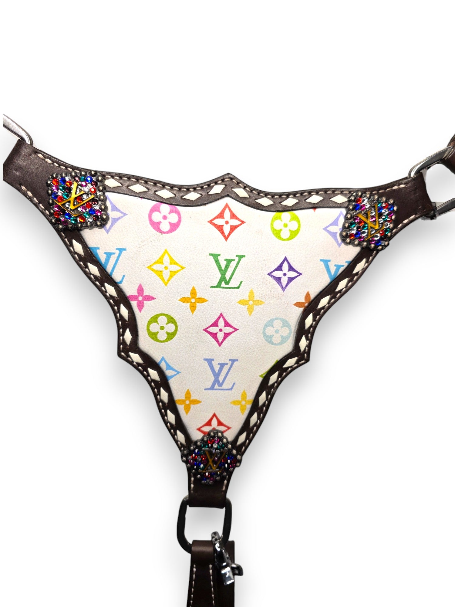 “Rainbow Luxe” Designer-Inspired Tack Set