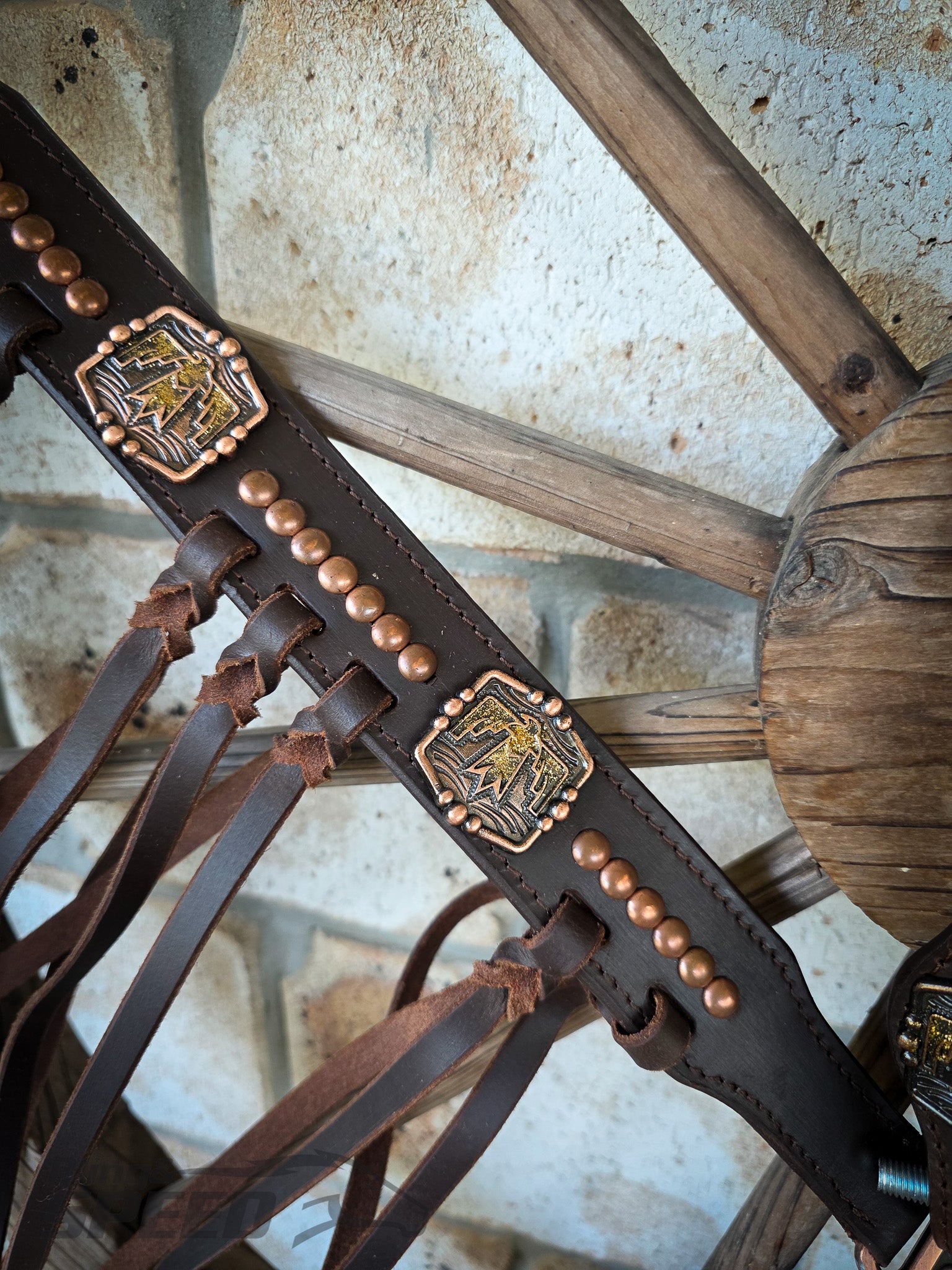 Thunderbird Fringe Tack Set - Gold Glitter