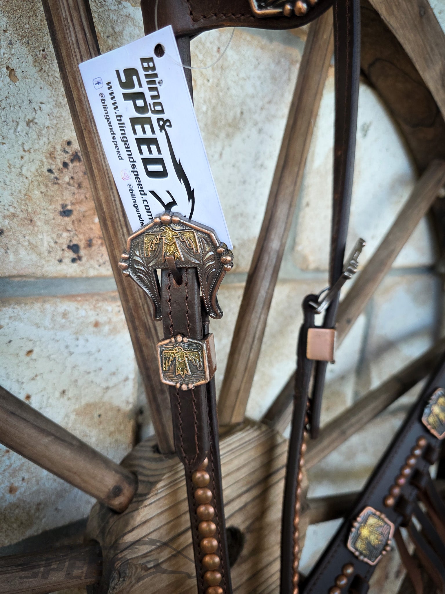 Thunderbird Fringe Tack Set - Gold Glitter