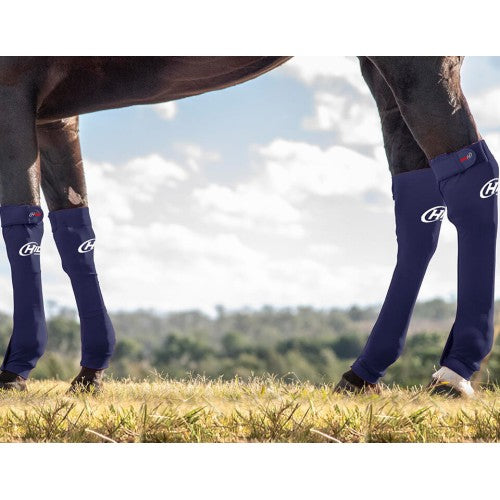 Hidez Seamless Compression Socks - Gray