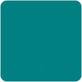 Load image into Gallery viewer, Teal Arena Shirt