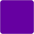Load image into Gallery viewer, Purple Arena Shirt
