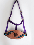 Load image into Gallery viewer, Trophy Bronc Halters