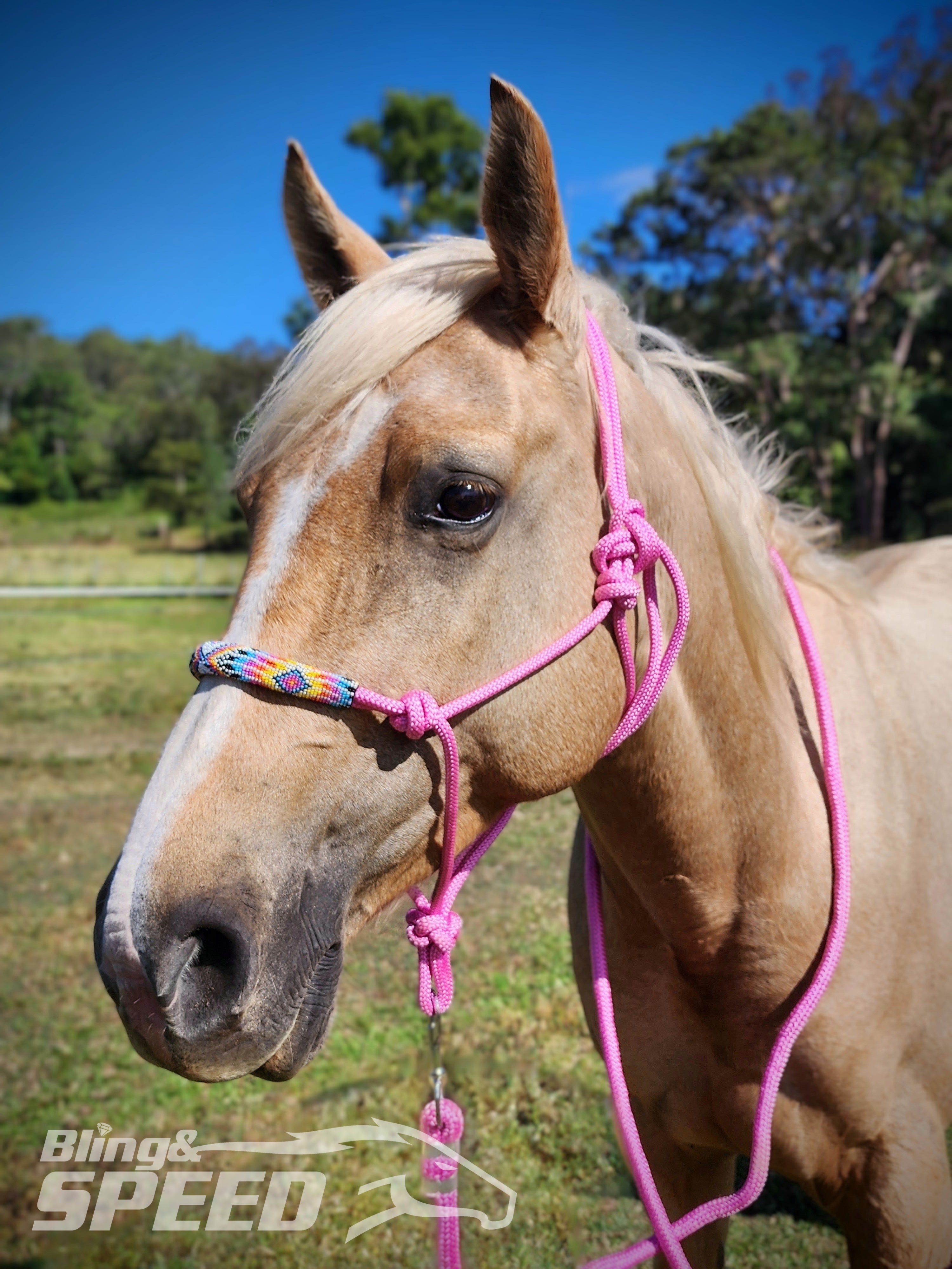Beaded Rope Halter (8028568256750)