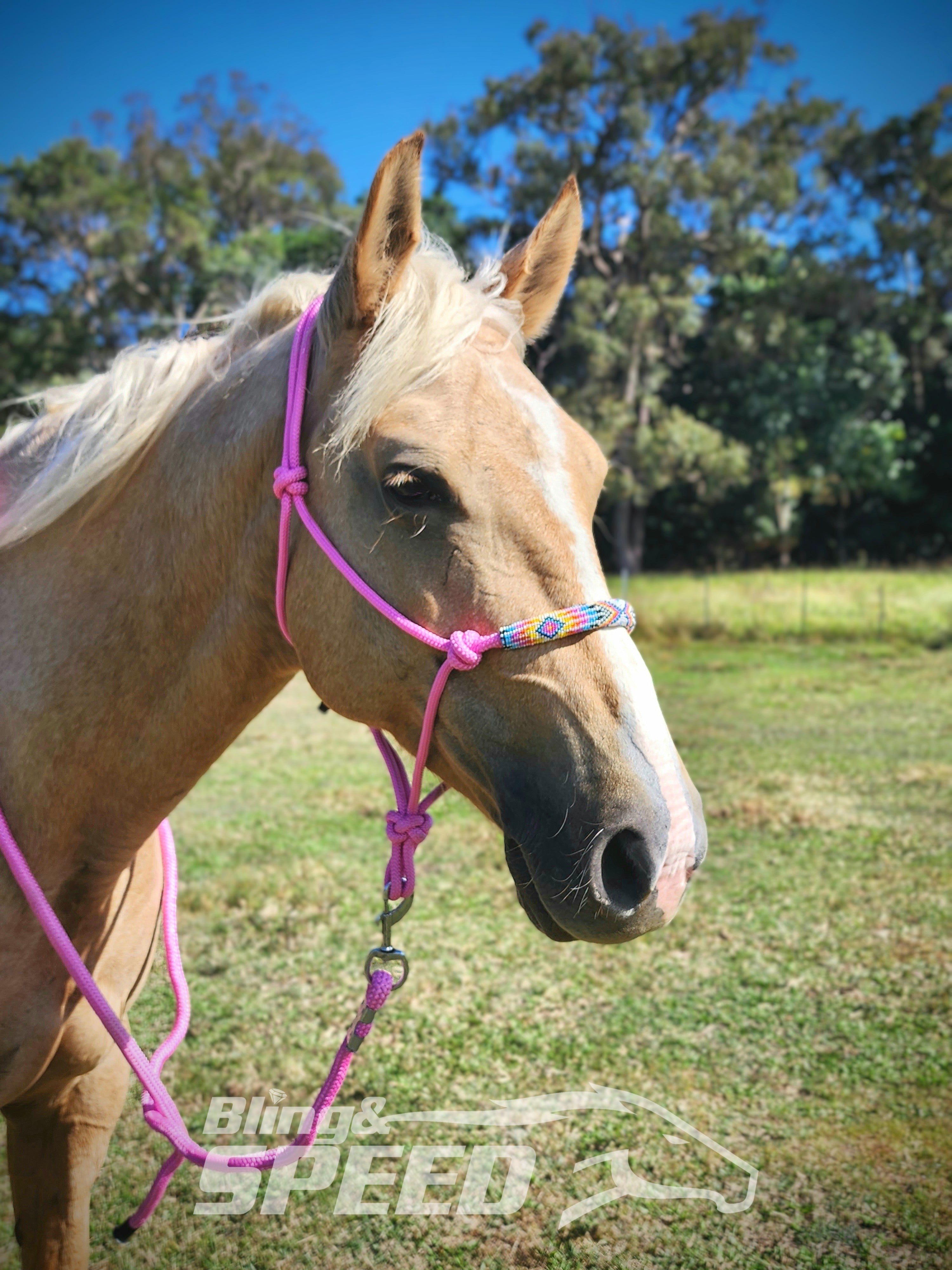 Beaded Rope Halter (8028568256750)