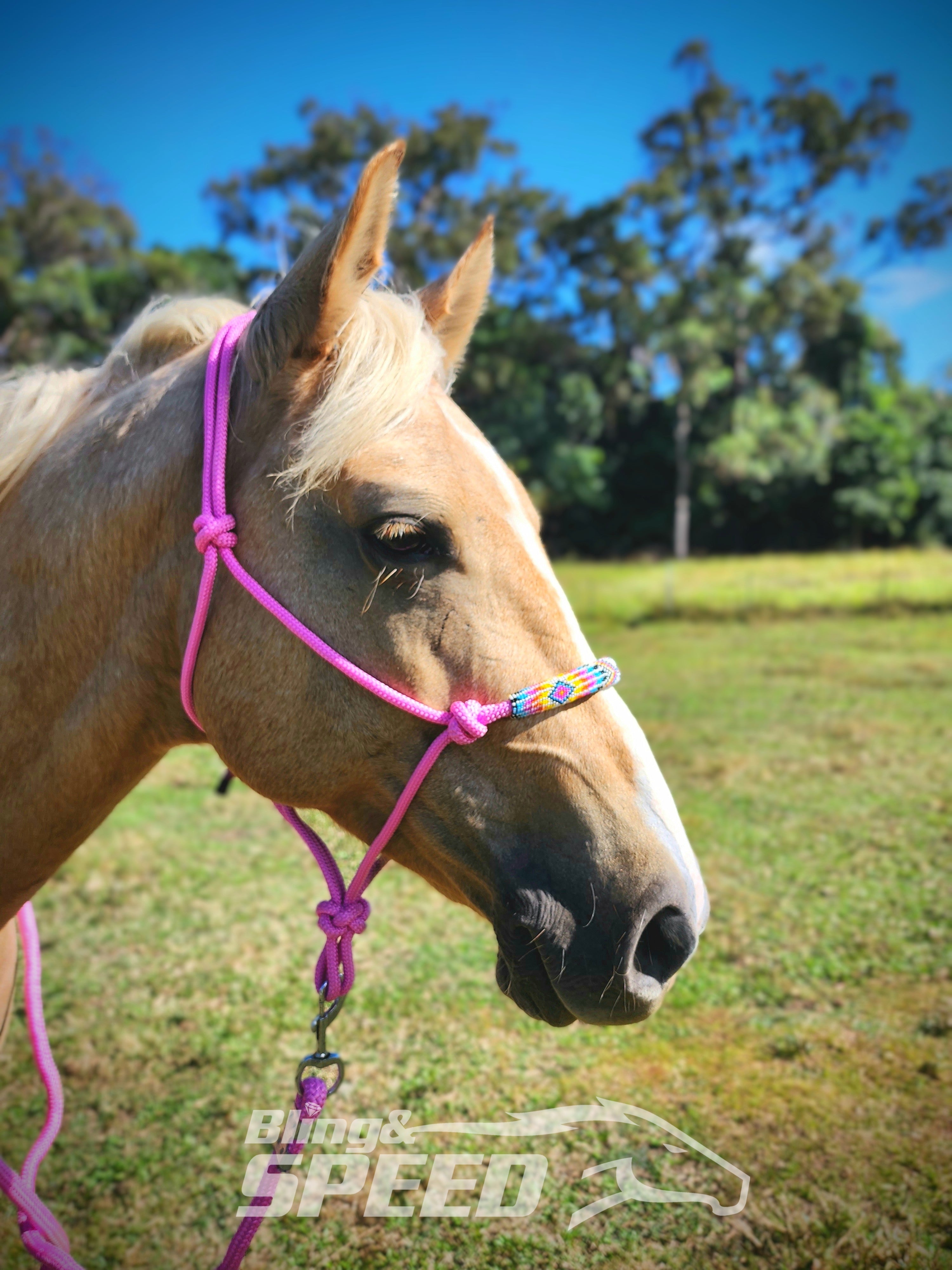 Beaded Rope Halter (8028568256750)