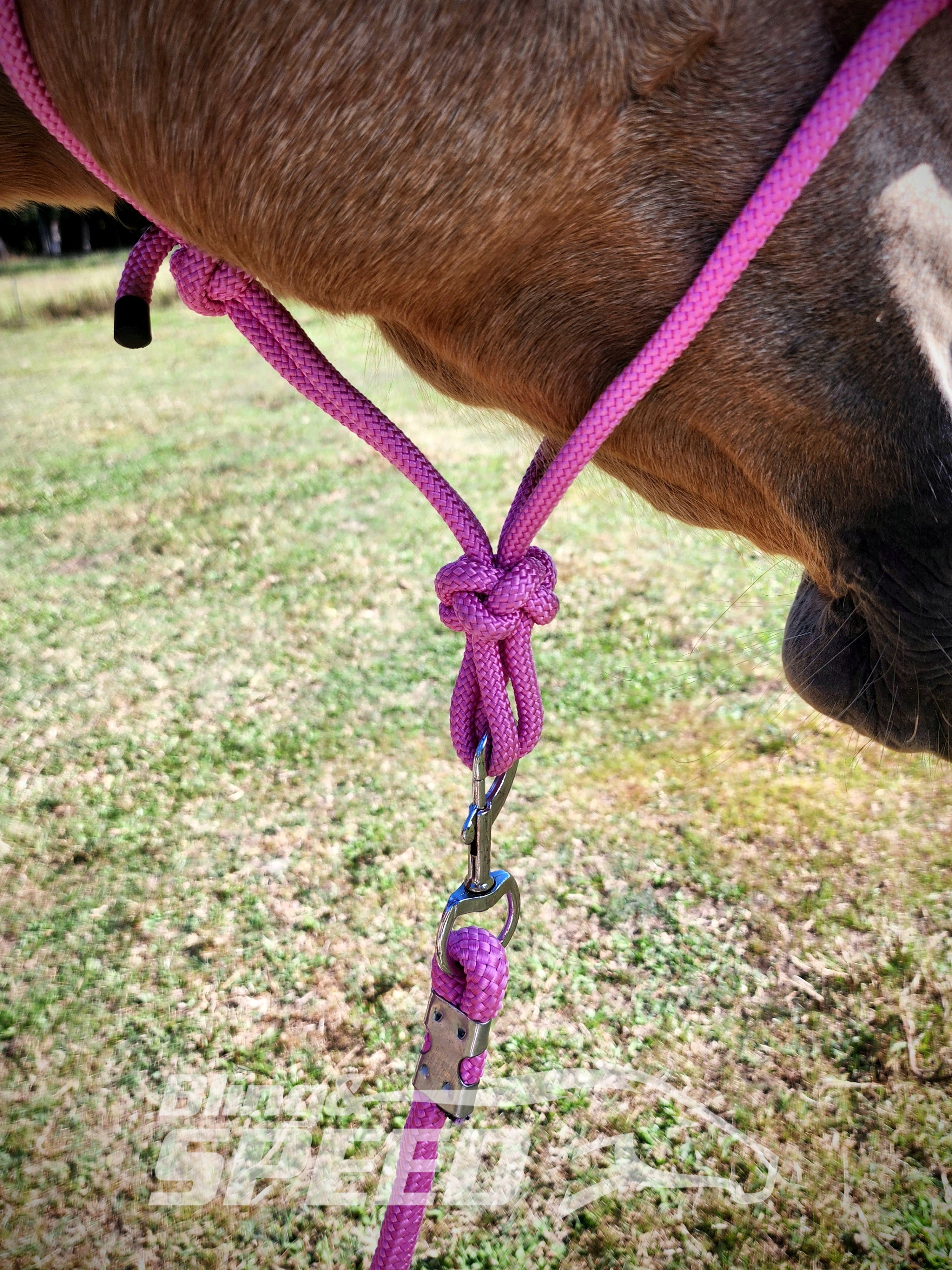 Beaded Rope Halter (8028568256750)