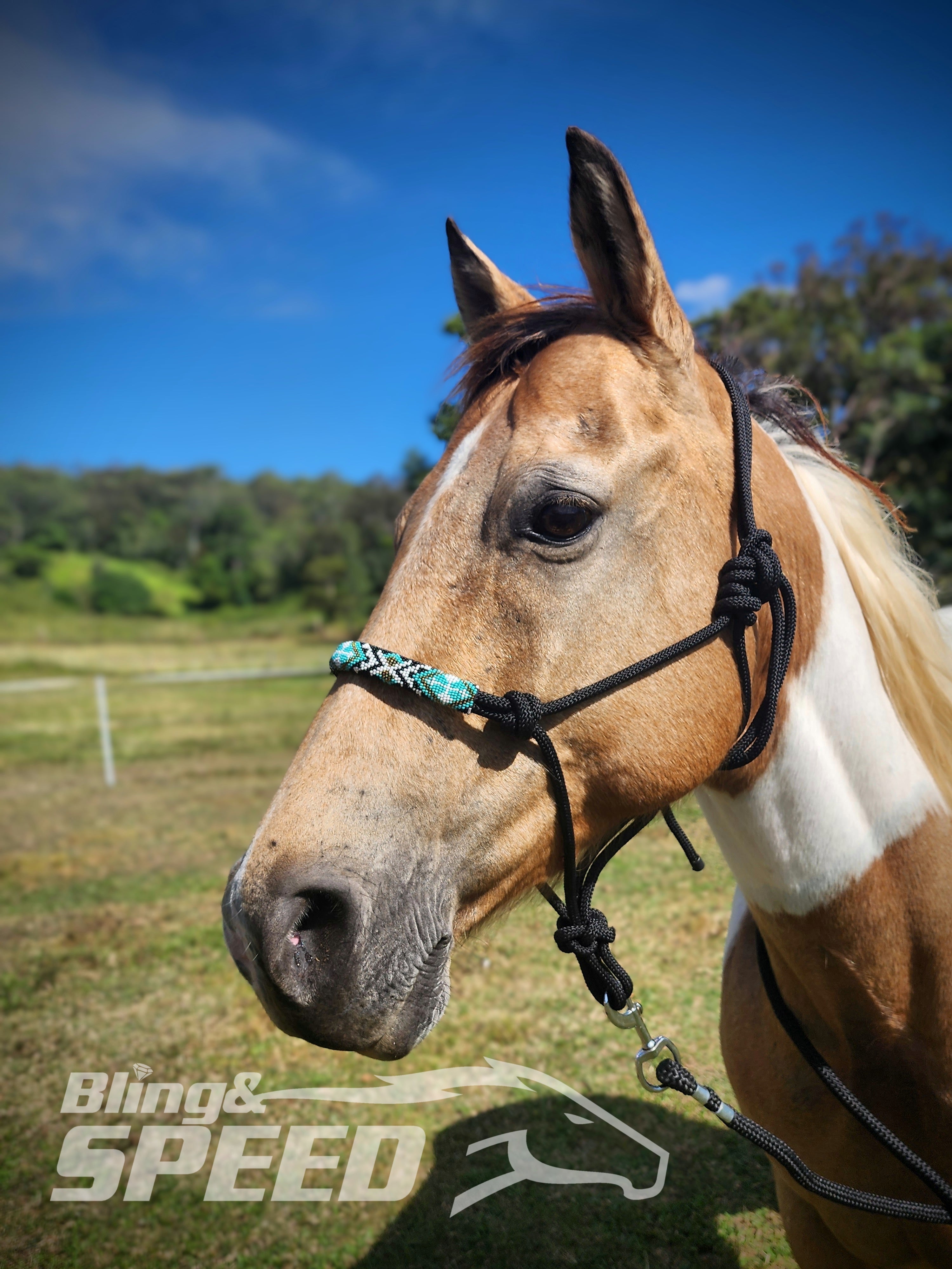 Beaded Rope Halter (8028568256750) (8058358792430)