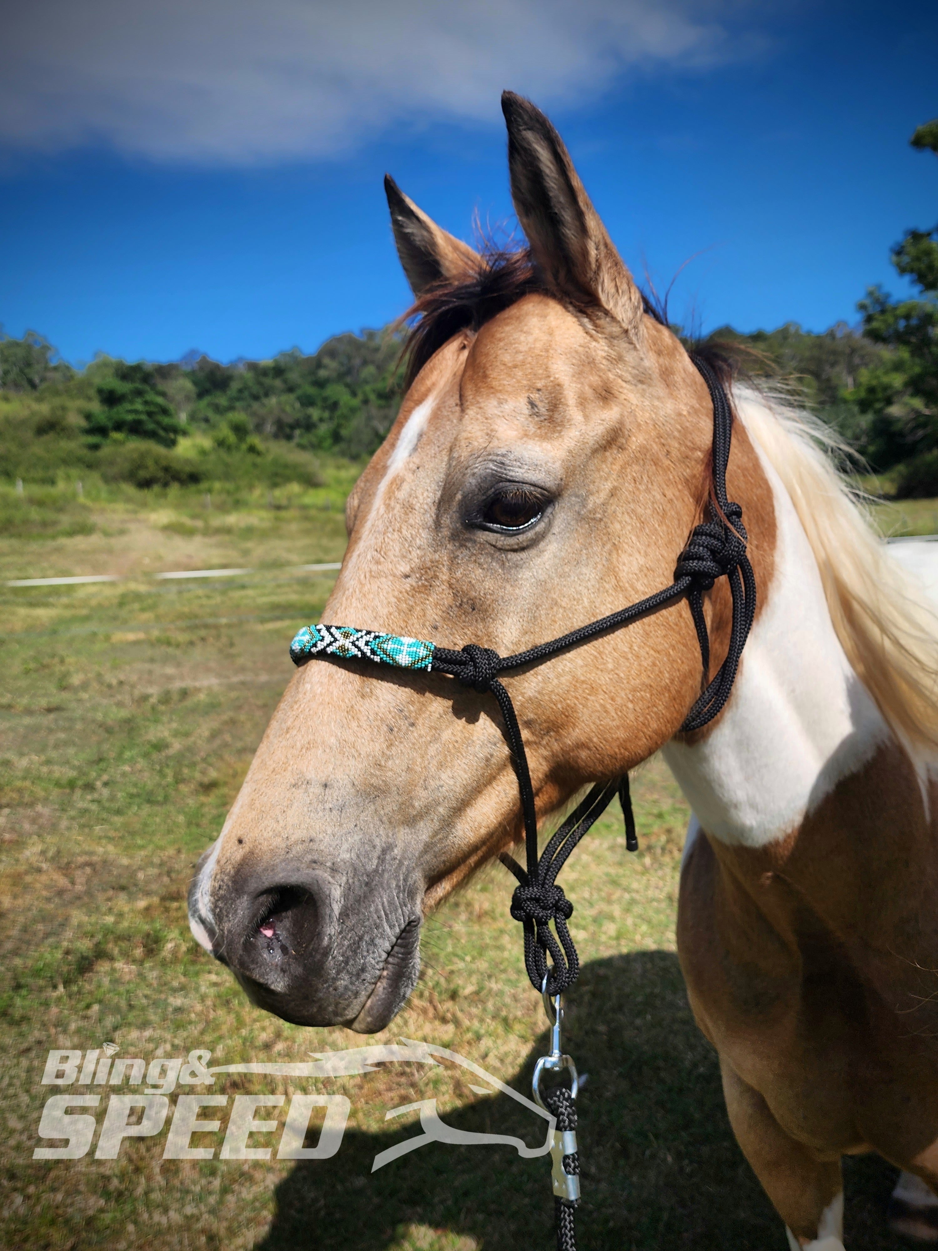 Black Beaded Rope Halter Bling and Speed