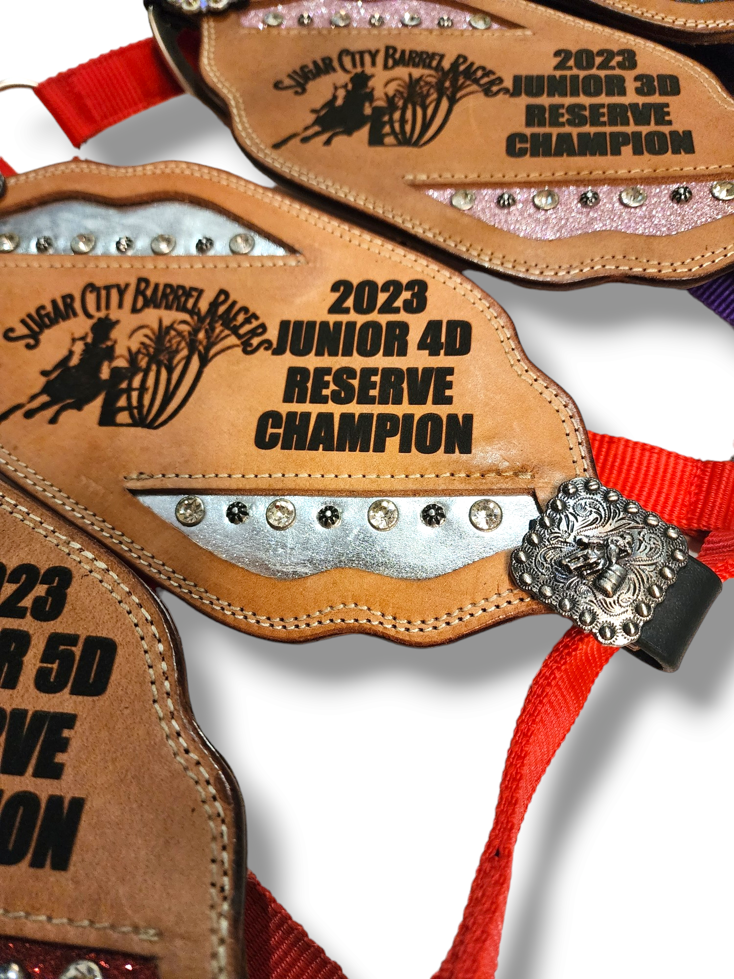 Trophy Bronc Halters