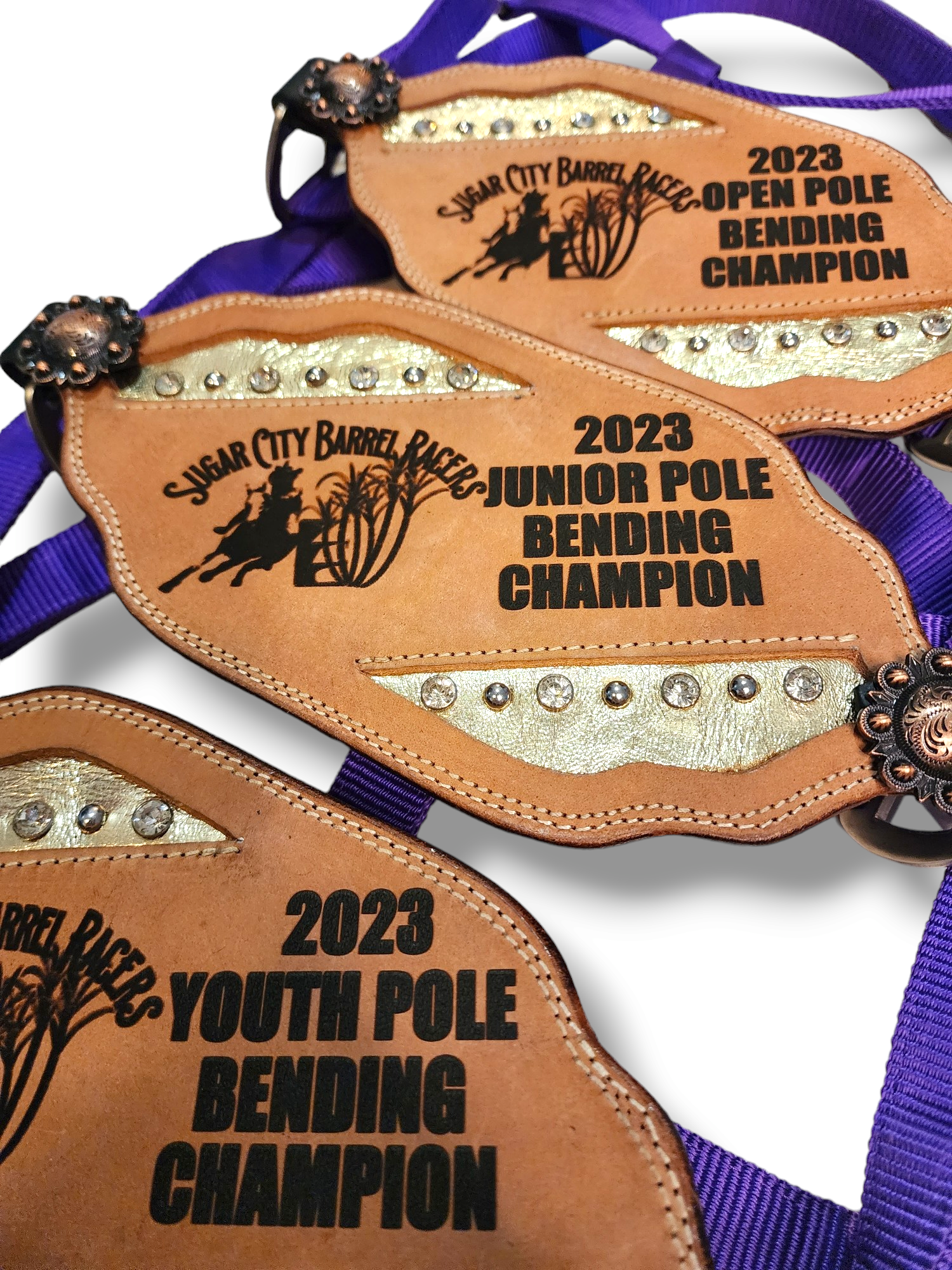 Trophy Bronc Halters