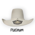 Load image into Gallery viewer, RDR Champion Hat - All Colours
