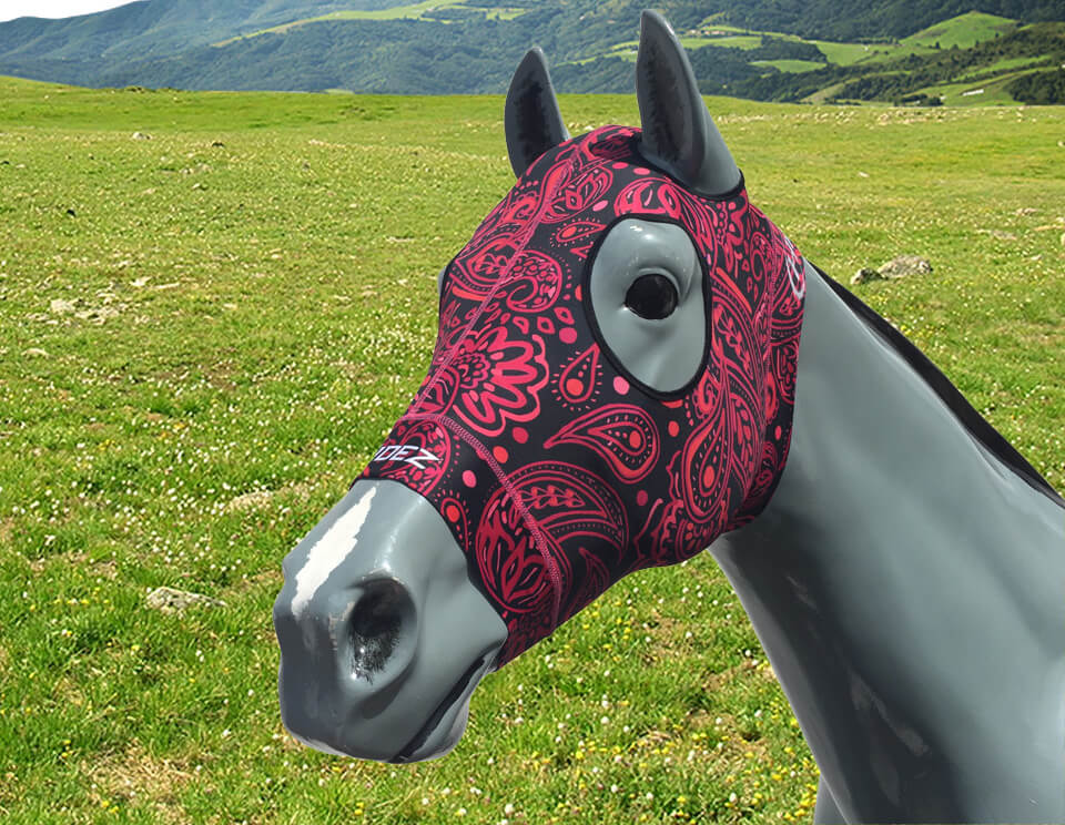 Red Paisley