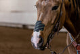 Load image into Gallery viewer, EquiBreathe™ Equine Nasal Patch - EquiBreathe™