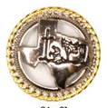 Load image into Gallery viewer, Bling & Speed Saddle Concho Options