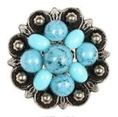 Load image into Gallery viewer, Bling & Speed Saddle Concho Options