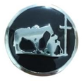 Load image into Gallery viewer, Bling & Speed Saddle Concho Options
