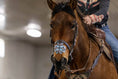 Load image into Gallery viewer, EquiBreathe™ Equine Nasal Patch - Aztec