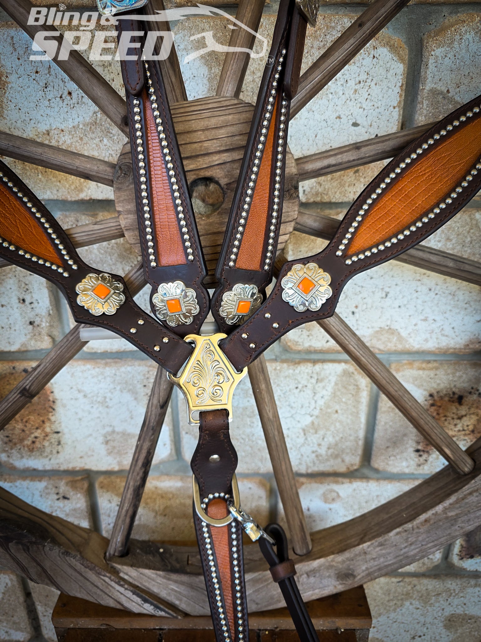 Burnt Orange Croc Inlay Tack Set