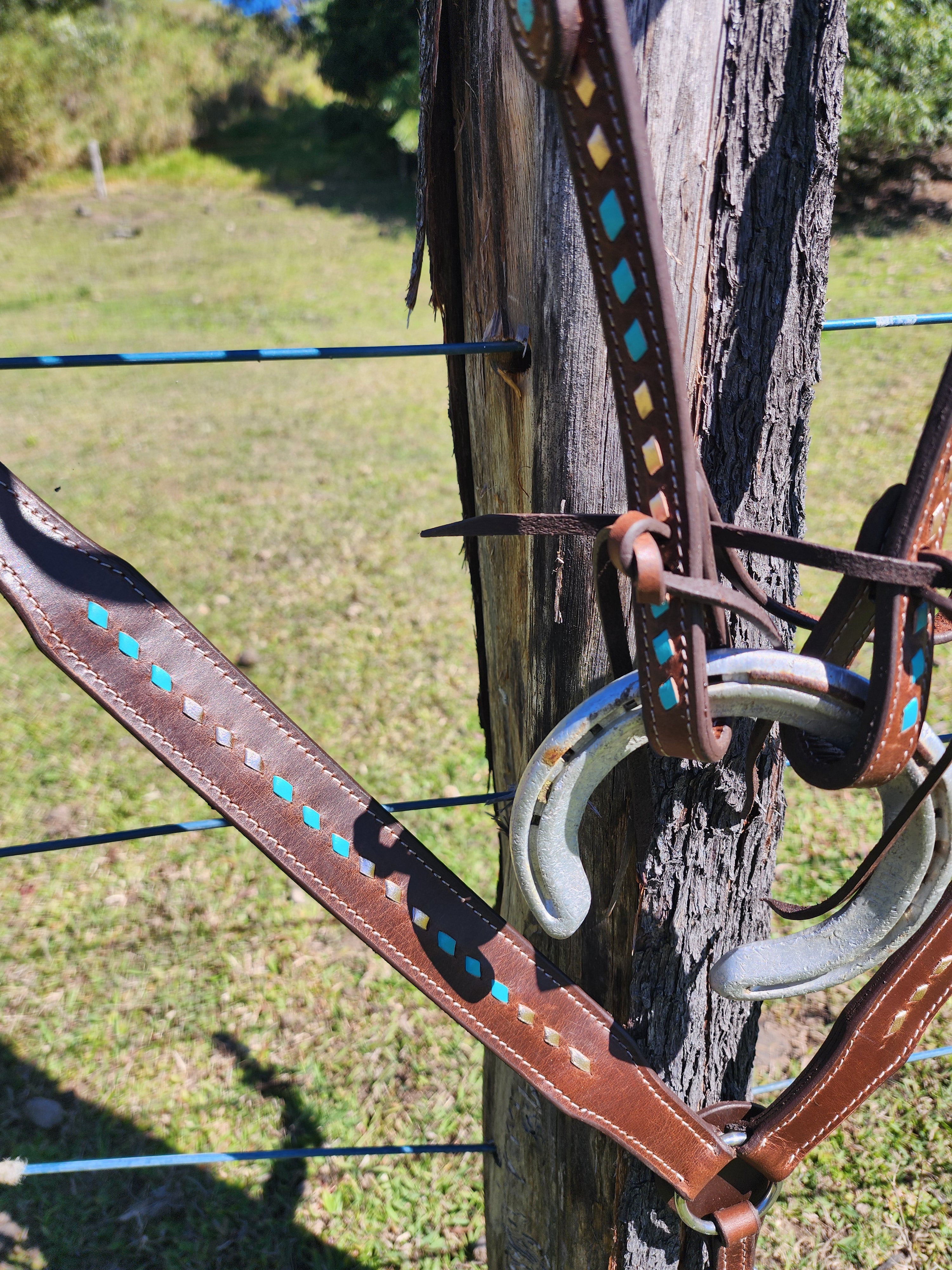 Harness Leather Bridle and Matching Breastcollar - Gold and Turquoise Buckstitching