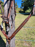 Load image into Gallery viewer, Harness Leather Bridle and Matching Breastcollar - Gold and Turquoise Buckstitching